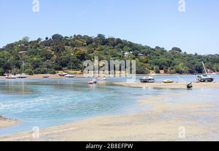 Putiki Bay, Ostenda, Waiheke Island, Hauraki Gulf, Auckland, Nuova Zelanda Foto Stock