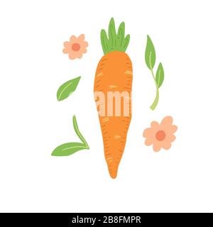 Illustrazione del vettore della carota isolata. Concetto di cibo sano, vegetale. Carota hanno astratto, semplice cartone animato, stile disegnato a mano. Illustrazione Vettoriale