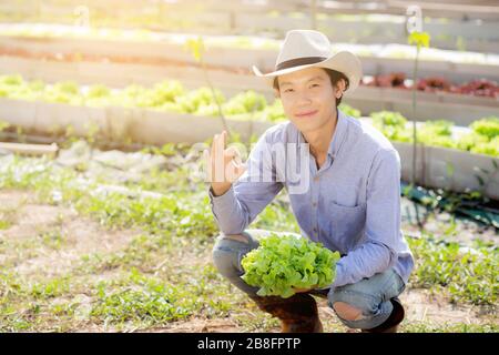 Giovane contadino asiatico contadino che tiene e mostra fresca lattuga di quercia verde biologica e gesto ok in azienda agricola, produzione e coltivazione per l'agricoltura di raccolta veg Foto Stock