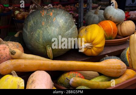 Varietà di squash in vendita Foto Stock