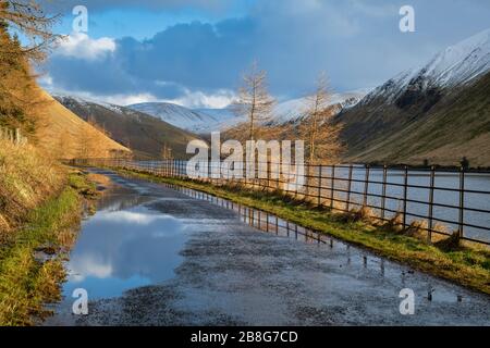 Riserva di Talla nel pomeriggio luce di fine inverno. Confini scozzesi. Scozia Foto Stock