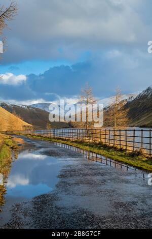 Riserva di Talla nel pomeriggio luce di fine inverno. Confini scozzesi. Scozia Foto Stock