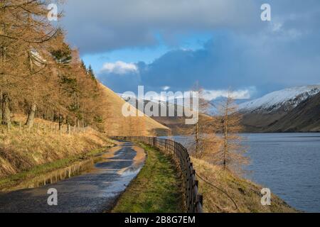 Riserva di Talla nel pomeriggio luce di fine inverno. Confini scozzesi. Scozia Foto Stock