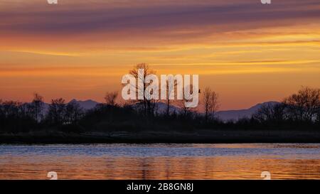 Richmond, British Columbia, Canada. 21 Mar 2020. Un'aquila solita, costeggiando il sole del tramonto, sorvola il litorale del fiume Fraser adiacente all'aeroporto internazionale di Vancouver, Richmond, British Columbia, Canada, sabato 21 marzo 2020. Credit: Bayne Stanley/ZUMA Wire/Alamy Live News Foto Stock