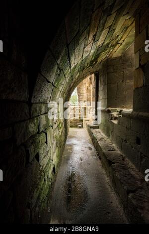 Rovine del Palazzo reale nella capitale storica del paese, Dunfermline, Fife, Scozia, Regno Unito Foto Stock