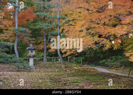 Lantarn in giardino giapponese in autunno Foto Stock