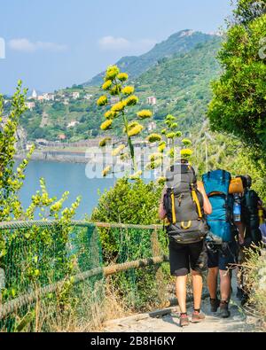 Escursionisti sul famoso sentiero lungo la costa ligure in italia Foto Stock