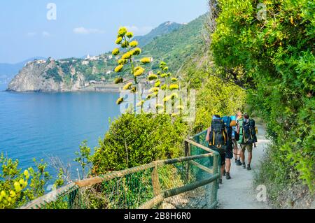 Escursionisti sul famoso sentiero lungo la costa ligure in italia Foto Stock