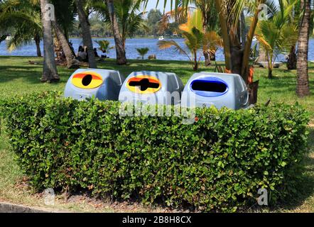 Bidone, bidone di plastica, bidone di plastica 3 tipi di rifiuti per riciclare in muro di albero al pubblico del giardino Foto Stock