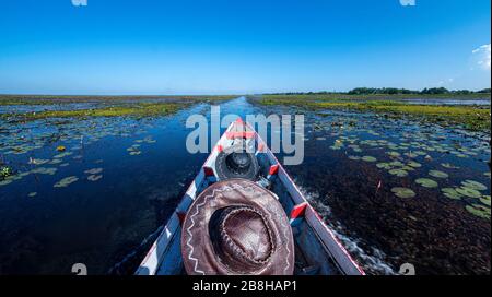 Navigando nel lago, dirigendosi dritto in avanti, navigando nello stagno con acqua bollente, sole del pomeriggio, il cielo è blu scuro. Foto Stock