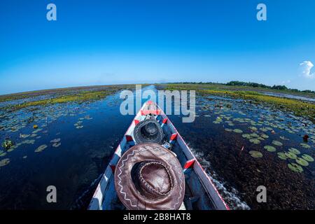 Navigando nel lago, dirigendosi dritto in avanti, navigando nello stagno con acqua bollente, sole del pomeriggio, il cielo è blu scuro. Foto Stock