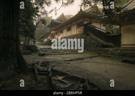 L'ingresso del Santuario di Tamukeyama Hachiman a Nara, Giappone, in una giornata umida e misteriosa. Foto Stock