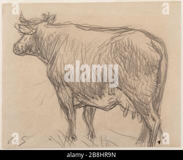 MUCCA Alfred Sisley (1839-1899). "Vache". Crayon noir sur papier, XIXe siècle. Musée des Beaux-Arts de la Ville de Paris, Petit Palais. Foto Stock