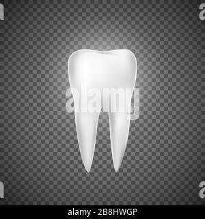 Illustrazione realistica dei denti. Cura dentale e restauro dei denti. Icona Medicina. Illustrazione vettoriale su sfondo ransgenitore Illustrazione Vettoriale