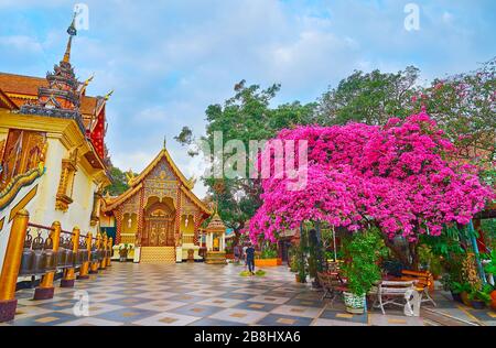 Il giardino di Wat Phra che tempio di Doi Suthep con alberi ombrosi, cespugli di bougainvillea in fiore e santuari ornati, Chiang mai, Thailandia Foto Stock
