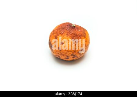 Un'immagine di un mandarino vecchio e asciutto ordinario. Ha una polpa abbastanza asciutta all'interno. Non molto buono da mangiare. Foto Stock