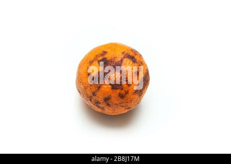 Un'immagine di un mandarino vecchio e asciutto ordinario. Ha una polpa abbastanza asciutta all'interno. Non molto buono da mangiare. Foto Stock