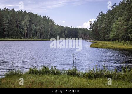 Lago Suchar Wielki nella zona del Parco Nazionale di Wigry vicino al villaggio di Slupie all'interno della contea di Suwalki, Voivodato di Podlaskie nella Polonia nordorientale Foto Stock