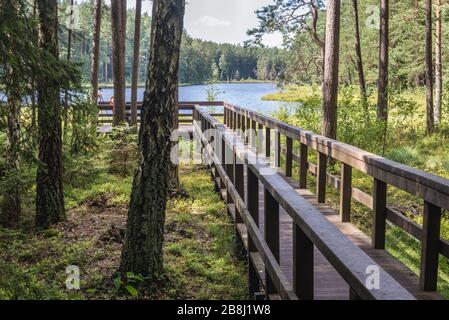 Molo di legno sul lago Suchar Wielki nella zona del Parco Nazionale di Wigry vicino al villaggio di Slupie all'interno della contea di Suwalki, Voivodato di Podlaskie in Polonia Foto Stock