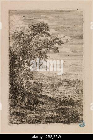 Tre chèvres. (Robert-Dumesnil 26; Mannocci 8) Claude Gellée (dit le Lorrain) (vers 1600-1682). 'Les Trois chèvres. (Robert-Dumesnil 26; Mannocci 8)'. Eau-forte. 1630. Musée des Beaux-Arts de la Ville de Paris, Petit Palais. Foto Stock