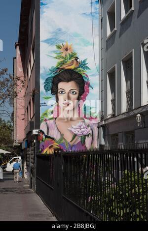 Murale dell'arte di strada, graffiti nella capitale del Cile, Santiago Foto Stock