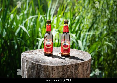 Due bottiglie fredde di birra Amstel originale su un tronco di legno e uno sfondo verde Foto Stock