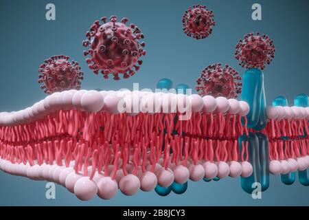 Membrana cellulare e coronavirus, concetto medico, rendering 3d. Disegno digitale per computer. Foto Stock