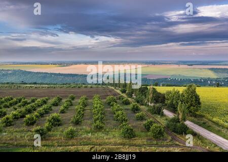 Veduta aerea su un campo nel villaggio di Saharna Noua, distretto di Rezina della Moldavia Foto Stock