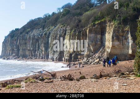 Pett Level, East Sussex, Regno Unito. 22 marzo 2020. UK Weather: Condizioni molto ventilate giù a livello di Pett in East Sussex, alcune persone a piedi lungo la spiaggia deserta ammirando le scogliere di Pett Level. © Paul Lawrenson 2020, Photo Credit: Paul Lawrenson/ Alamy Live News Foto Stock