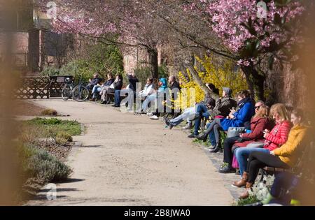 22 marzo 2020, Hessen, Francoforte sul meno: Le persone siedono al sole con la distanza necessaria in fila sulle panchine di Bethmannpark Foto: Frank Rumpenhorst/dpa Foto Stock