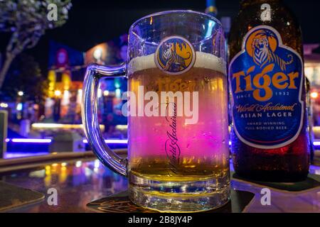 Un bicchiere freddo e una bottiglia di birra Tiger, una birra lager prodotta a Singapore Foto Stock