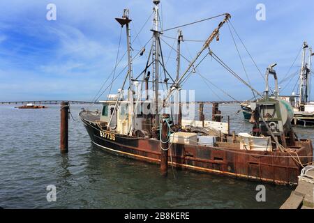 Molo commerciale di pesca Shinnecock Long Island New York Foto Stock