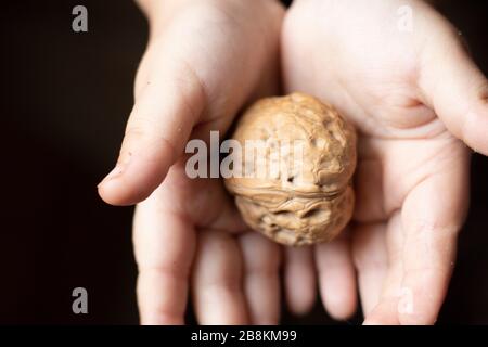 I bambini tengono una noce in mano, concetto sano di cibo biologico. Piatto. Foto Stock