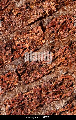 Vecchio laterite parete laterite texture sfondo, modello decorativo irregolare cracked reale superficie di pietra con cemento Foto Stock