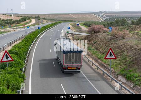 Autocarro articolato per il trasporto di merci sfusi in circolazione su autostrada Foto Stock