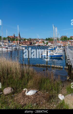 Città di Flensburg sul fiordo di Flenburg, città di confine con la Danimarca, Schleswig-Holstein, Germania settentrionale, Europa centrale, Foto Stock