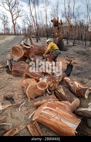 I vigili del fuoco americani aiutano a eliminare i detriti dagli incendi del complesso Peat and Tambo il 18 febbraio 2020 a Victoria, Australia. L'area è stata devastata nei 2019 incendi boschivi e si sta lentamente riprendendo quando le piante iniziano a germogliare. Foto Stock