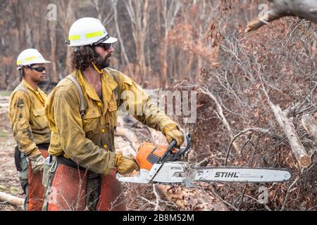 I vigili del fuoco americani aiutano a eliminare i detriti dagli incendi del complesso Peat and Tambo il 18 febbraio 2020 a Victoria, Australia. L'area è stata devastata nei 2019 incendi boschivi e si sta lentamente riprendendo quando le piante iniziano a germogliare. Foto Stock