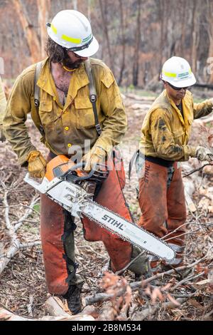 I vigili del fuoco americani aiutano a eliminare i detriti dagli incendi del complesso Peat and Tambo il 18 febbraio 2020 a Victoria, Australia. L'area è stata devastata nei 2019 incendi boschivi e si sta lentamente riprendendo quando le piante iniziano a germogliare. Foto Stock