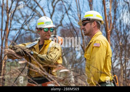 I vigili del fuoco americani aiutano a eliminare i detriti dagli incendi del complesso Peat and Tambo il 18 febbraio 2020 a Victoria, Australia. L'area è stata devastata nei 2019 incendi boschivi e si sta lentamente riprendendo quando le piante iniziano a germogliare. Foto Stock
