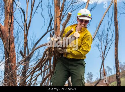 I vigili del fuoco americani aiutano a eliminare i detriti dagli incendi del complesso Peat and Tambo il 18 febbraio 2020 a Victoria, Australia. L'area è stata devastata nei 2019 incendi boschivi e si sta lentamente riprendendo quando le piante iniziano a germogliare. Foto Stock