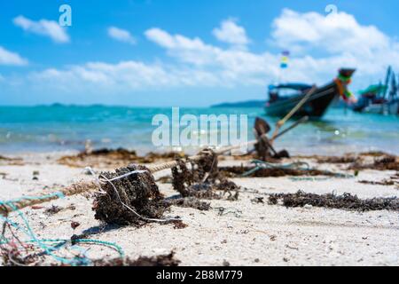 Corda da primo piano per ormeggiare una barca sulla spiaggia, in alghe secche Foto Stock