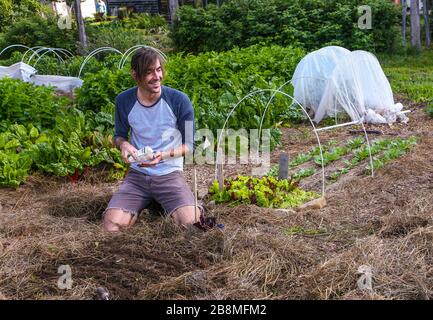 Stagisti di Farm School Foto Stock