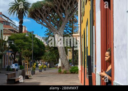 Cameriera nel ristorante la Perica in via San Agustin a San Cristobal de la Laguna, l'ex capitale dell'isola di Tenerife, Isole Canarie, Spagna Foto Stock