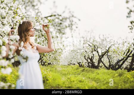 Bella donna sognante in abito bianco nel giardino fiorente di mele. Foto Stock