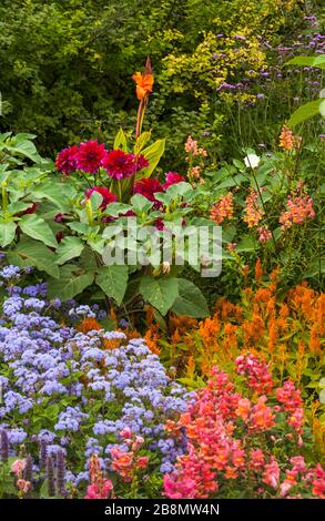 Aiuole colorate nei giardini inglesi di Assiniboine Park, Winnipeg, Manitoba, Canada. Foto Stock