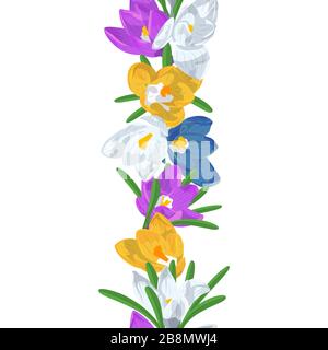 Spazzola senza cuciture per fiori di croco trafilati a mano. Elemento di design floreale. Isolato su sfondo bianco. Illustrazione vettoriale Illustrazione Vettoriale