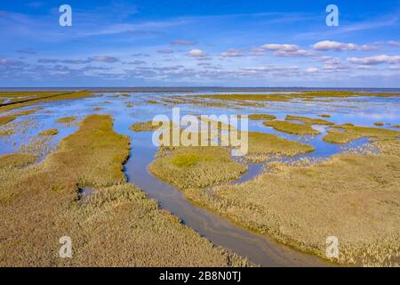 Veduta aerea della bonifica del territorio Parco Nazionale della paludi di Tidal e Waddensee, patrimonio mondiale dell'UNESCO, nella provincia di Groningen. Paesi Bassi Foto Stock