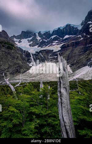 Valle di Frances nel Parco Nazionale di Torres del Paine Foto Stock