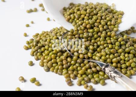 Raccogliere i fagioli di mung verdi in una ciotola di ceramica bianca su un primo piano del tavolo bianco Foto Stock